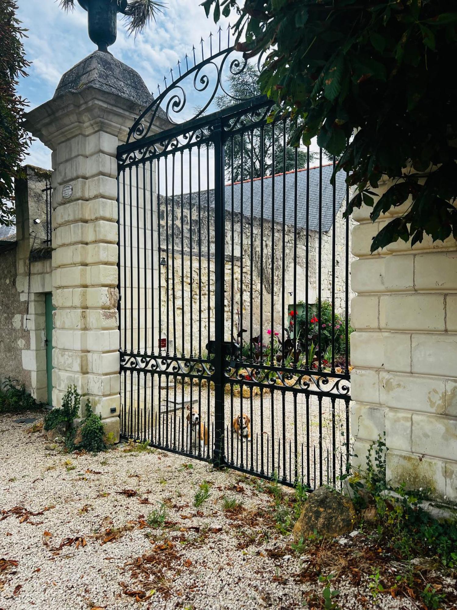 Allonnes  Chateau De La Thibaudiere Bois Savary - Chambre Familiale Du Roi מראה חיצוני תמונה